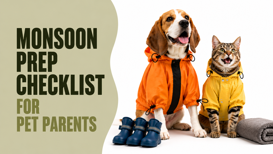 Monsoon Prep Checklist for Pet Parents