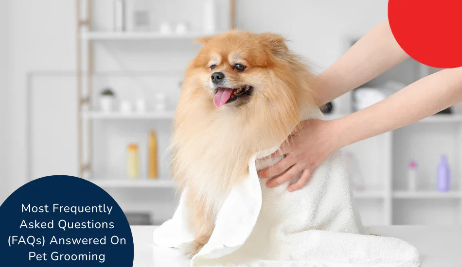Zigly pet grooming, Pomeranian dog being dried with towel, FAQ text overlay