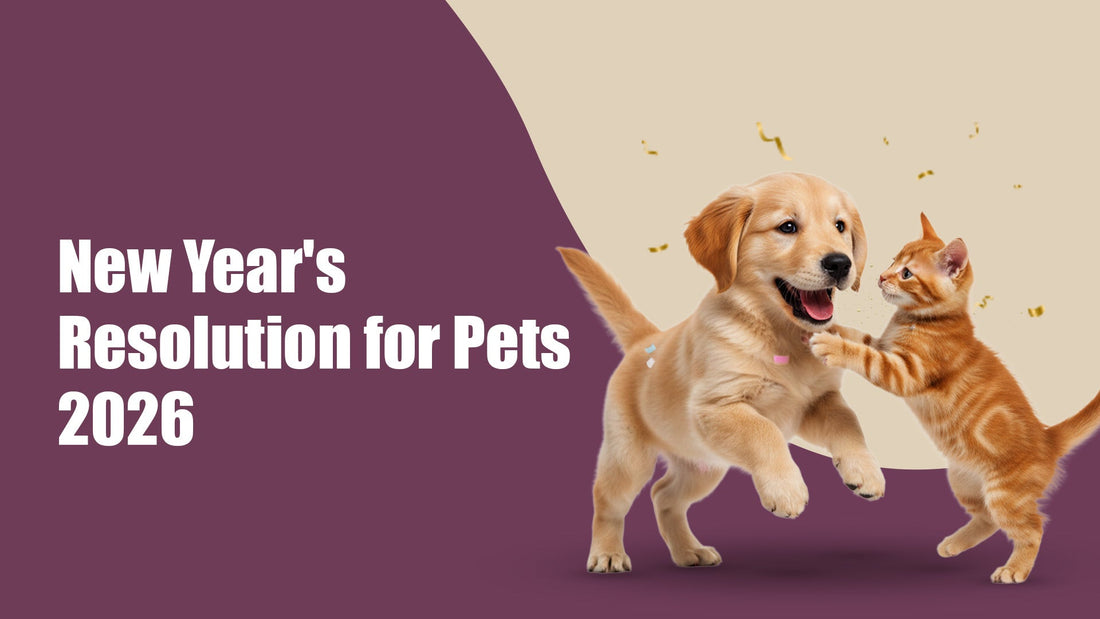 New Year’s Resolutions for Pets 2026
