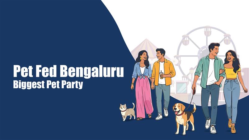 Zigly Pet Fed Bengaluru biggest pet party with happy couples walking dogs and cat near Ferris wheel