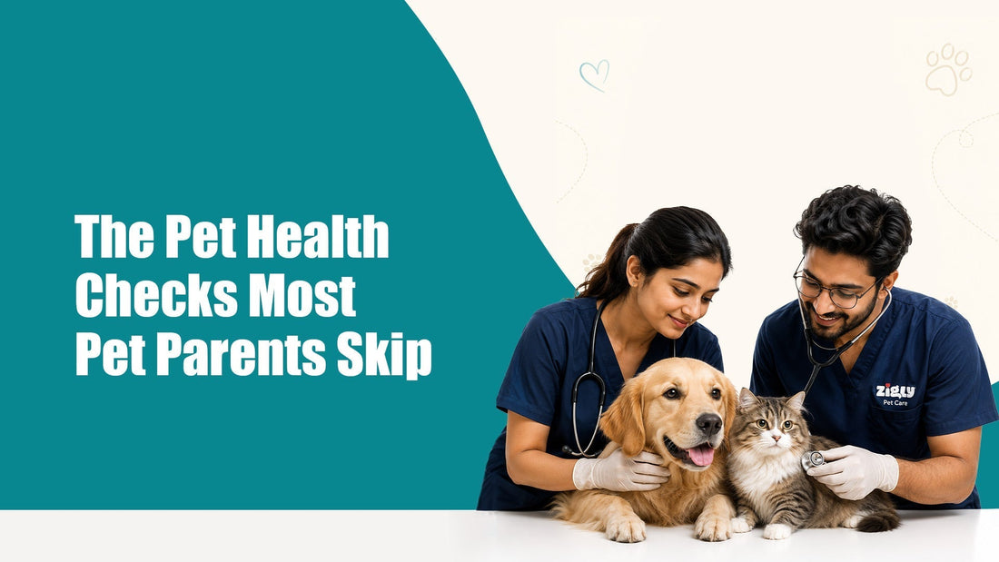 The Pet Health Checks Most Pet Parents Skip