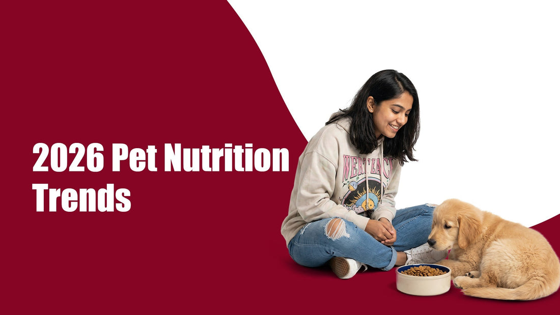 2026 Pet Nutrition Trends Every Pet Parent Should Know