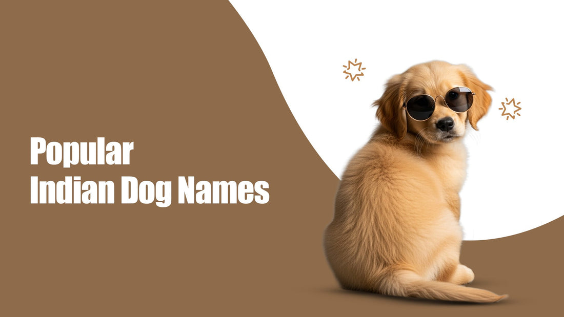 Popular Indian Dog Names