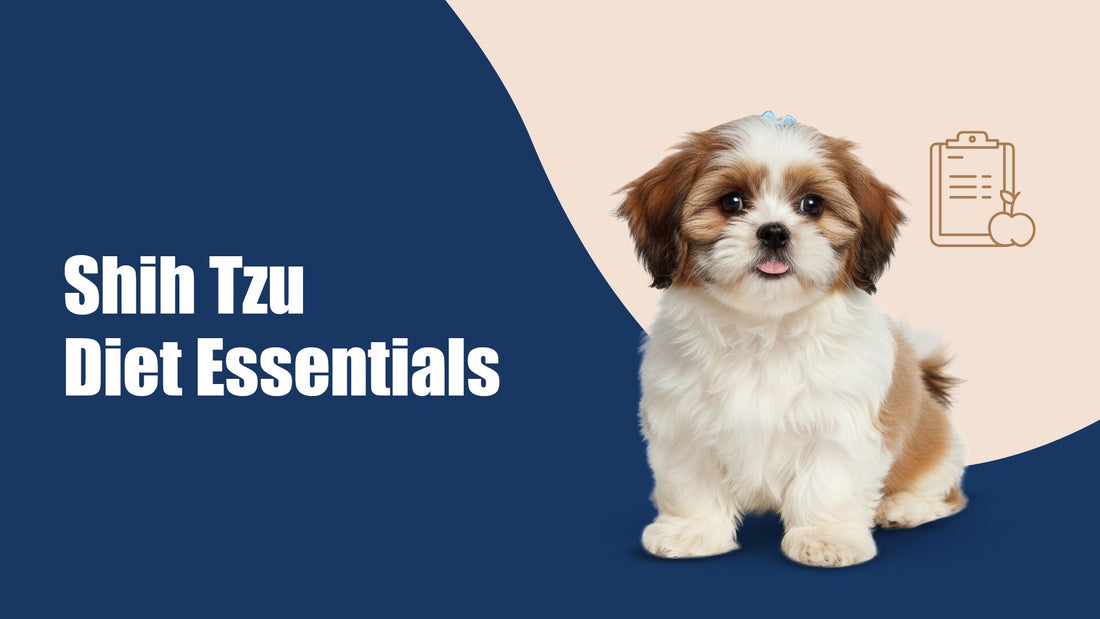 Shih Tzu Diet Essentials: Why Regular Food Isn’t Enough