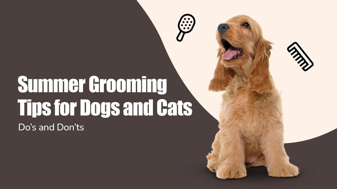 Zigly summer grooming tips for dogs and cats with happy dog and grooming icons