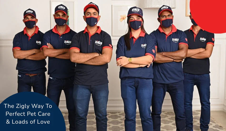 Zigly team in branded uniforms and caps standing together for pet care service promotion