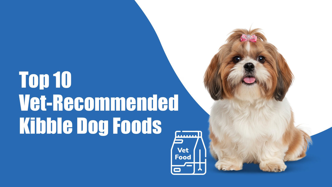 Top 10 Vet-Recommended Kibble Dog Foods