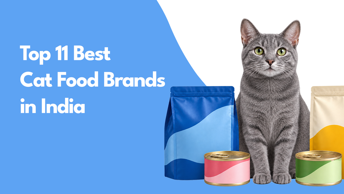 Top 11 Best Cat Food Brands in India (2026): Price, Protein & Picks