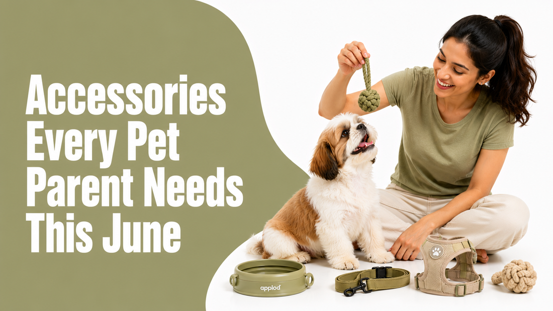 Beat the Heat: Top Cooling Accessories Every Pet Parent Needs This June