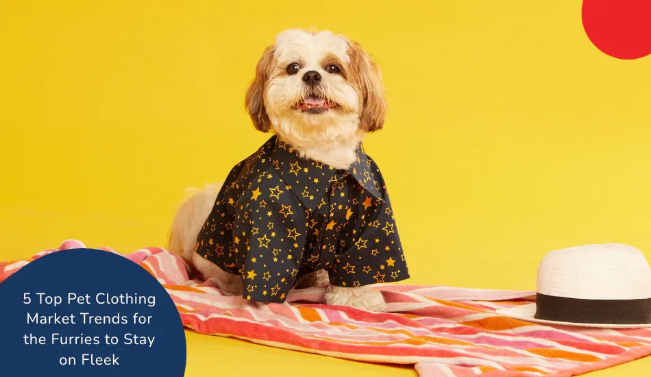Cute dog in star print pet clothing on striped towel with hat, yellow background, zigly.