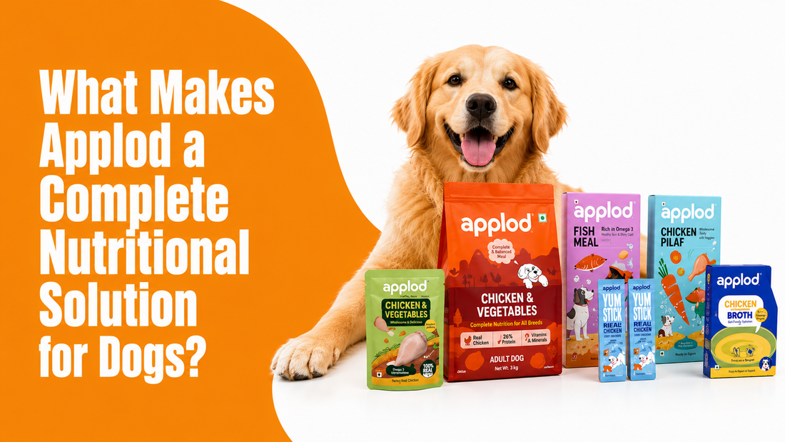 What Makes Applod a Complete Nutritional Solution for Dogs?
