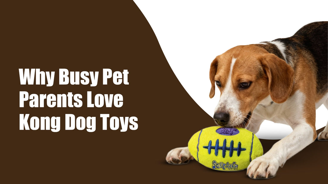 zigly Beagle dog playing with yellow Kong Squeaker toy against brown and white background