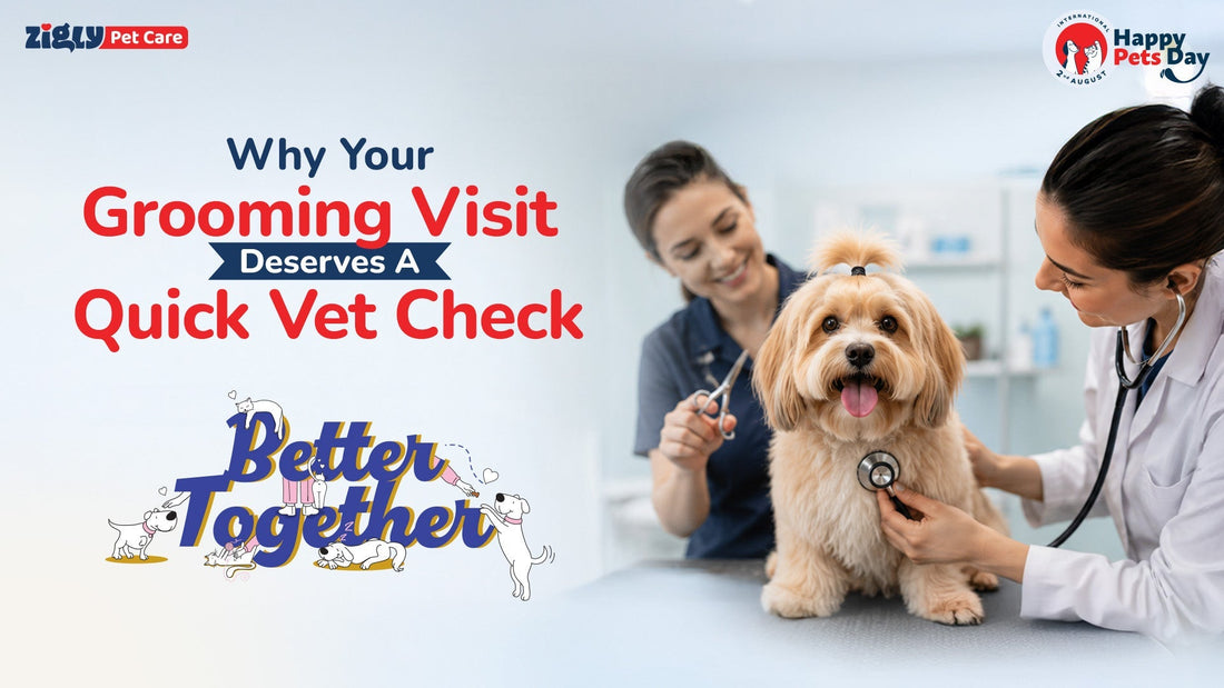 Why Your Grooming Visit Deserves a Quick Vet Check Too