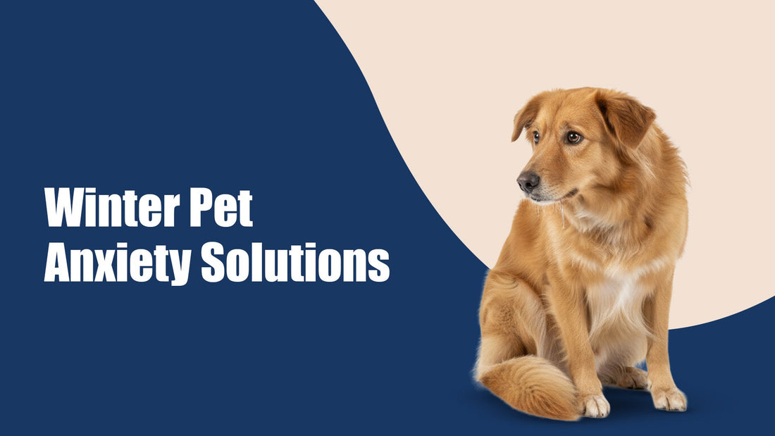 Winter Pet Anxiety: Signs, Struggles & How to Help Your Pet Feel Safe