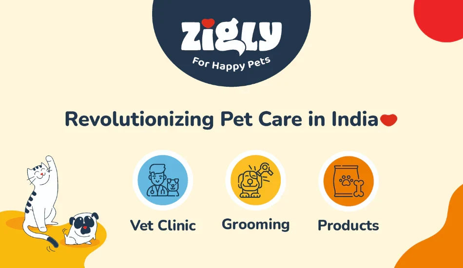 zigly pet care India banner with cat, dog, vet clinic, grooming, and pet products icons