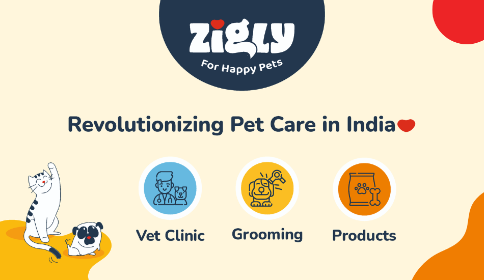 zigly-ft-pet-fed-copowers-the-biggest-event-of-the-year-for-pets-pet-lovers