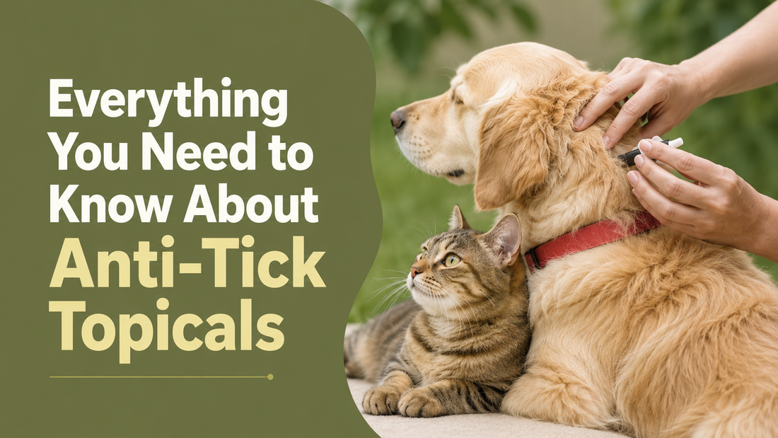 Tick Season is Here: Everything You Need to Know About Anti-Tick Topicals