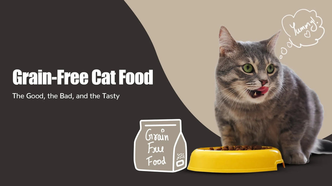 Zigly grain-free cat food with happy grey tabby cat eating from yellow bowl, cartoon doodles.