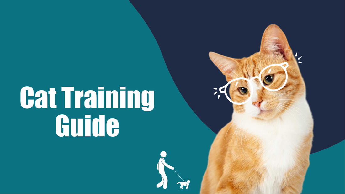 Cat Training Guide : Stop Biting, Litter Box Issues & More