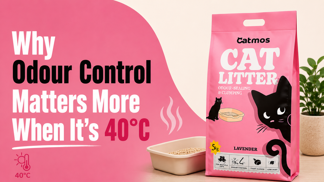 Catmos Cat Litter in Summer: Why Odour Control Matters More When It's 40°C