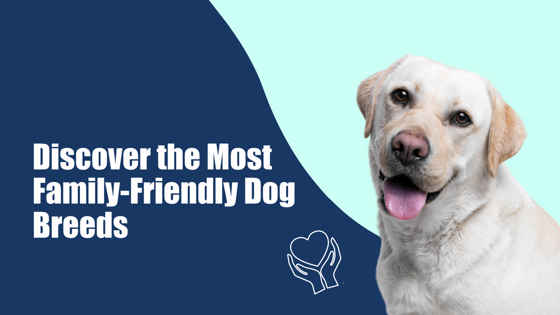 Discover the Most Family-Friendly Dog Breeds