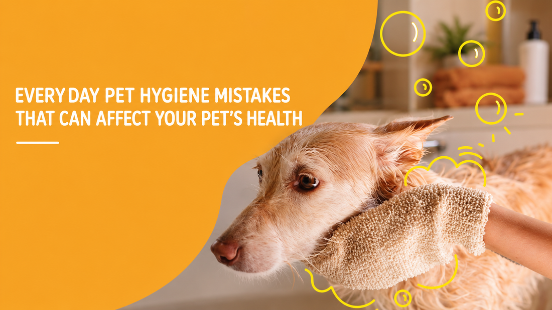 Everyday Pet Hygiene Mistakes That Can Affect Your Pet’s Health