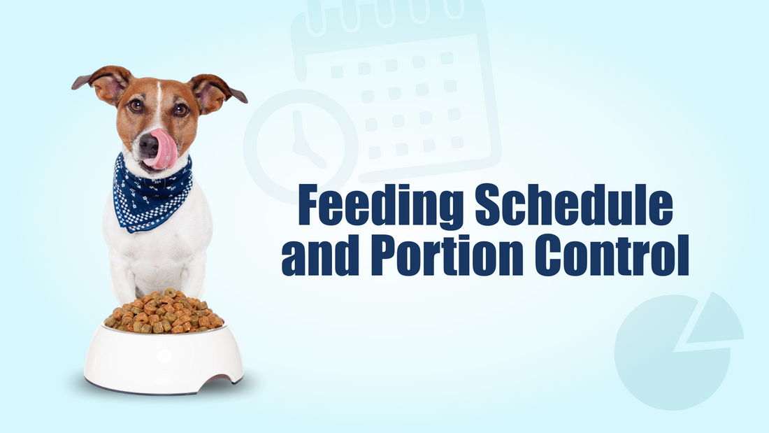The Beginner's Guide to Puppy Feeding: Best Practices