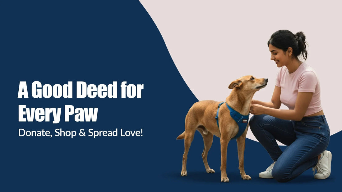 Paws of Kindness: Donate, Help & Shop with Zigly