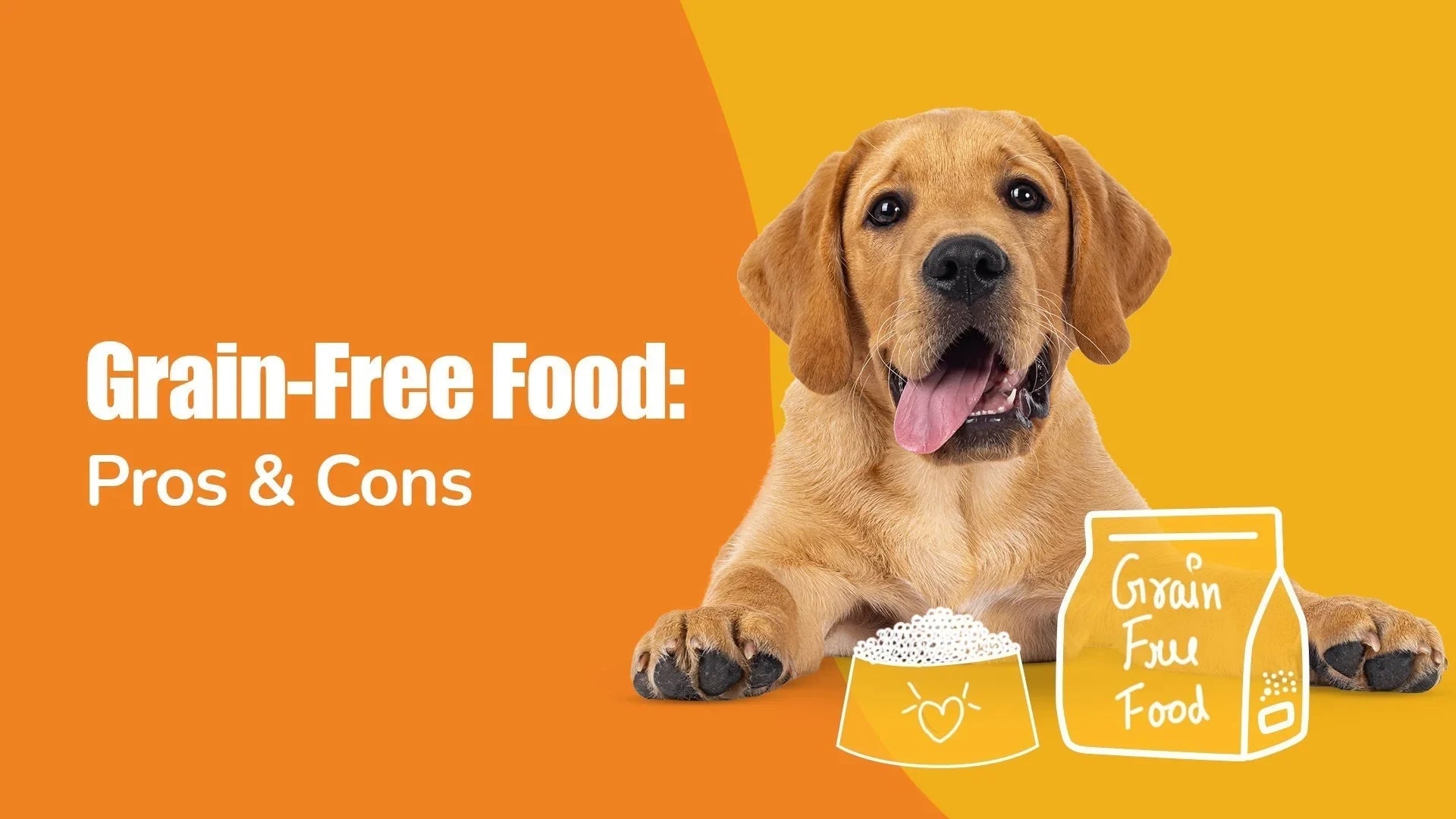 Grain-Free Dog Food: Pros, Cons & Best Options for Your Dog | Zigly