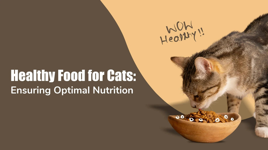 healthy-food-for-cats-nutrition-guide