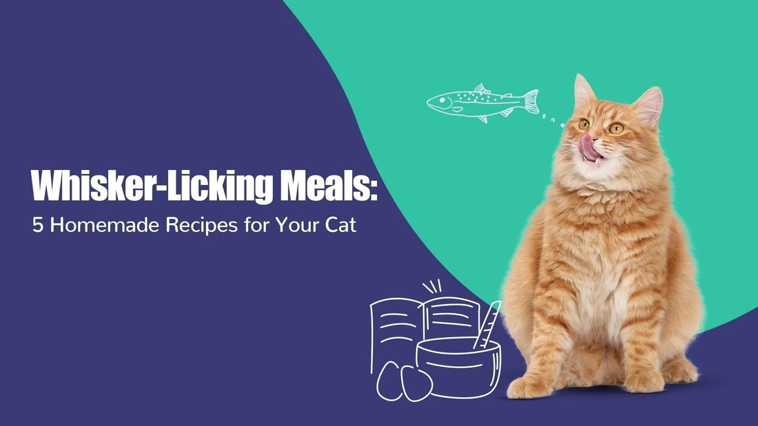Zigly orange tabby cat licking lips with whisker-licking homemade cat food recipe graphics