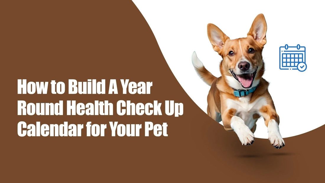 Zigly pet health check up calendar guide with happy dog, calendar icon, and bold text