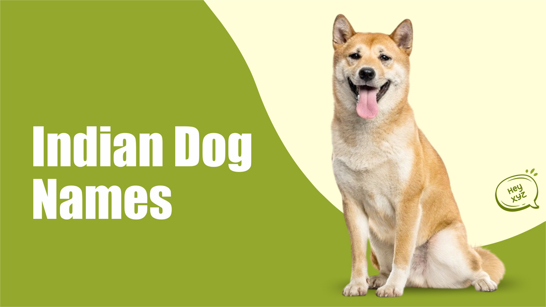 Indian Dog Names: Unique, Traditional & Fun Pet Names
