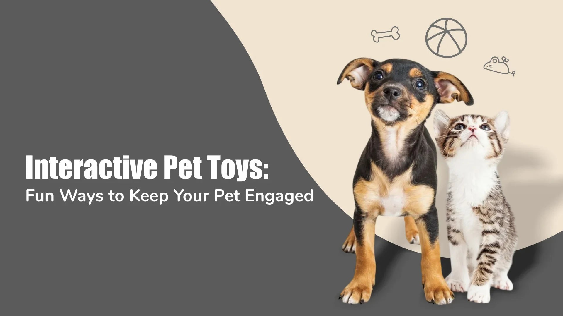 Interactive Pet Toys: Fun Ways to Keep Your Pet Engaged | Zigly