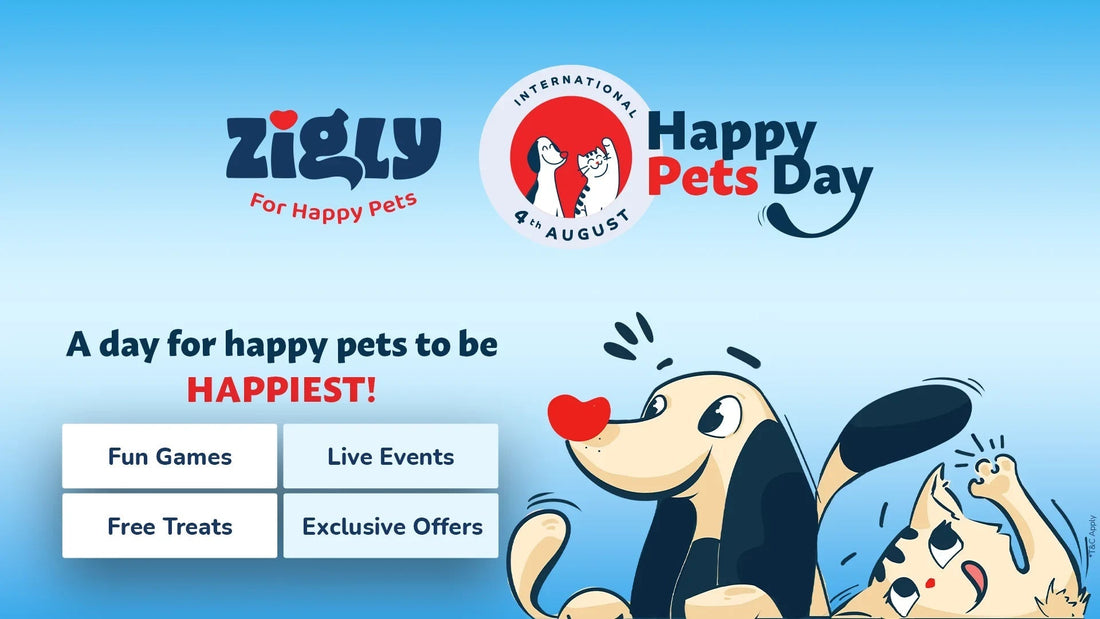 Zigly International Happy Pets Day banner with cartoon dog and cat, fun games, free treats, live events, exclusive offers.