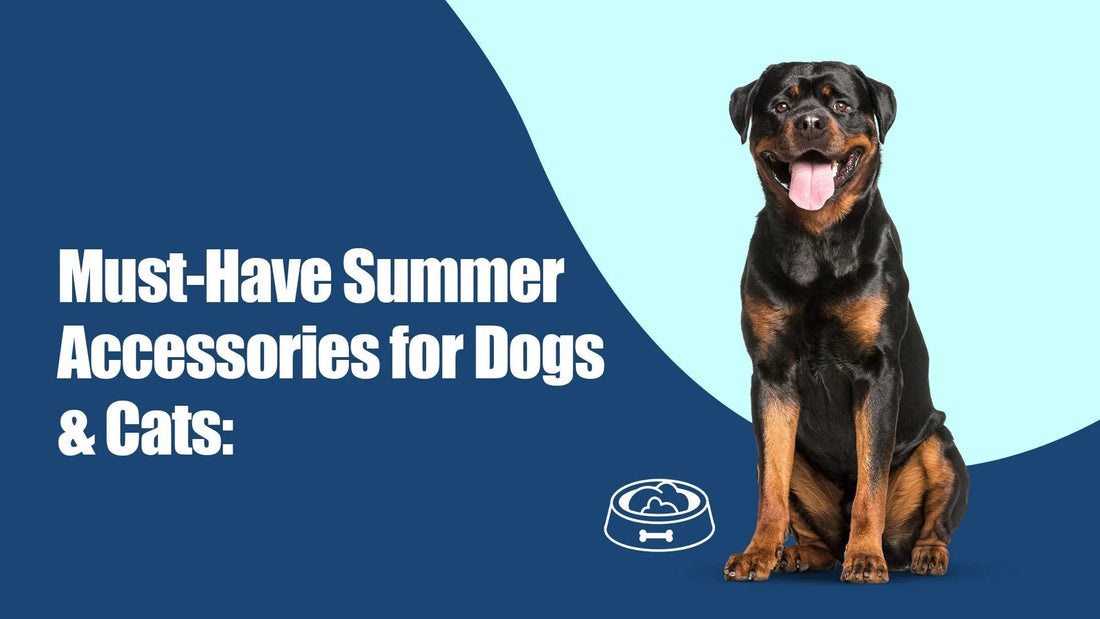 Zigly must-have summer accessories for dogs and cats, with a smiling Rottweiler on blue background.