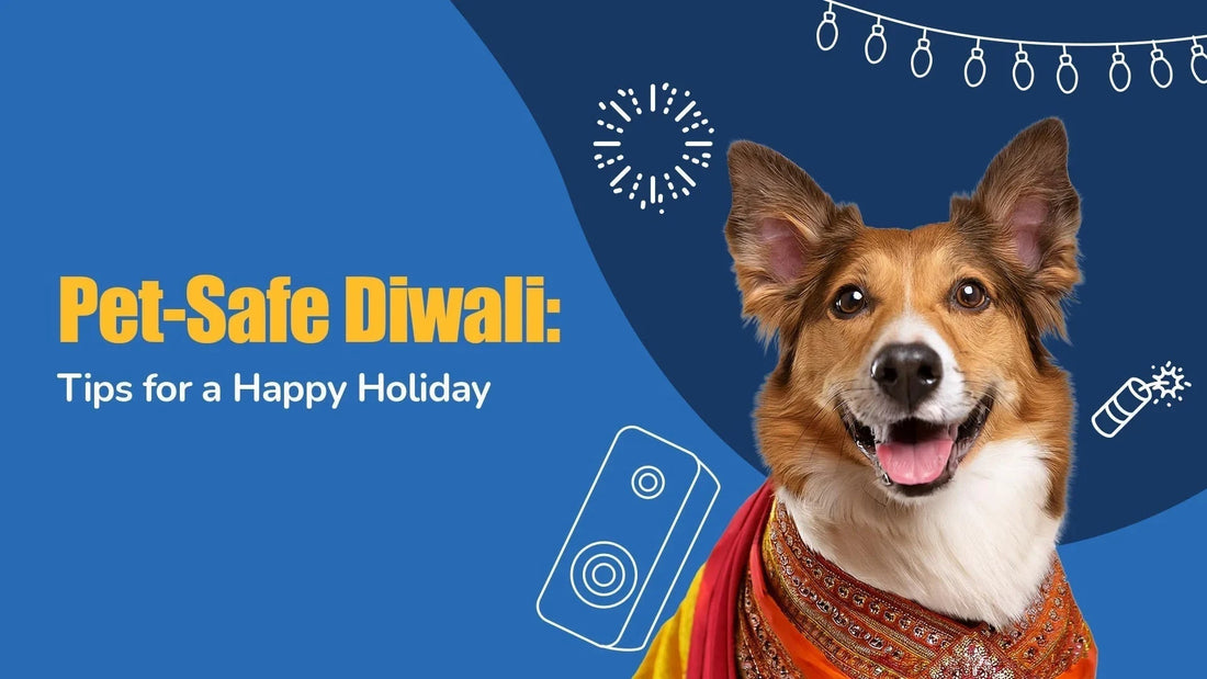 Zigly pet-safe Diwali banner with happy dog in festive scarf, fireworks, and string lights