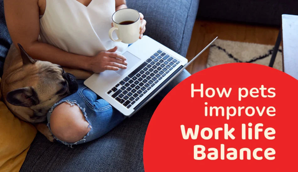 How Pets Improve Work-Life Balance: Benefits for Mental Health | Zigly