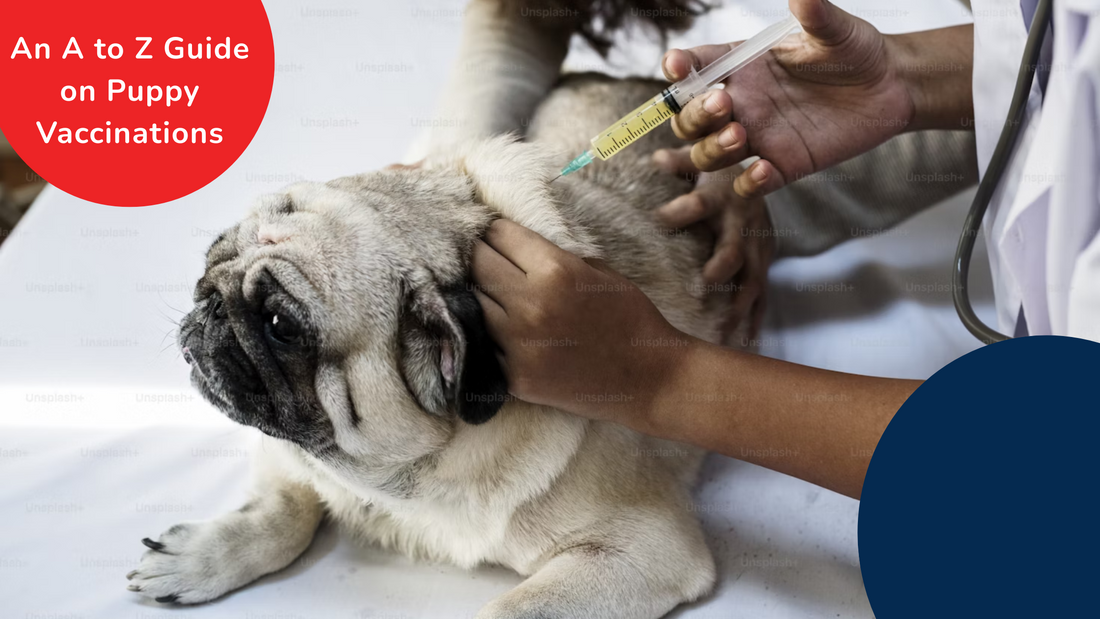 Puppy Vaccination Schedule: An A to Z Guide on Puppy Vaccinations