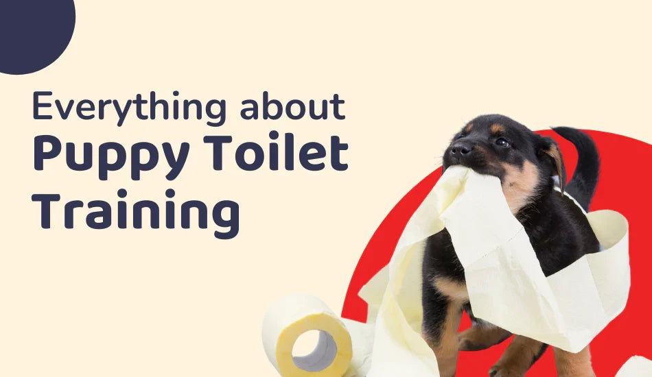 Zigly puppy toilet training guide with playful puppy chewing toilet paper roll