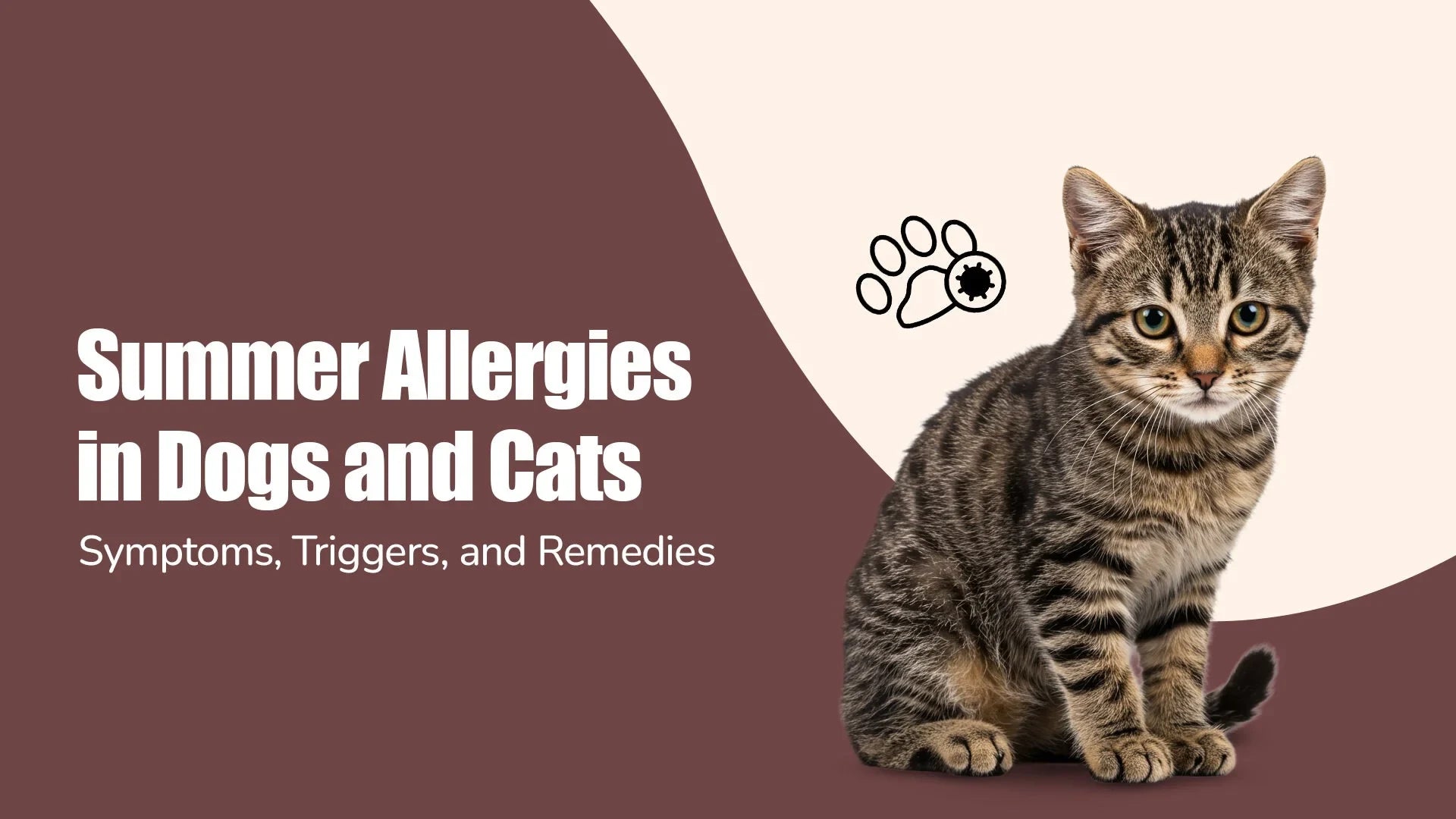 Photo inspiration: Gallery Detail: Summer Allergies In Dogs And Cats Symptoms Triggers Remedies