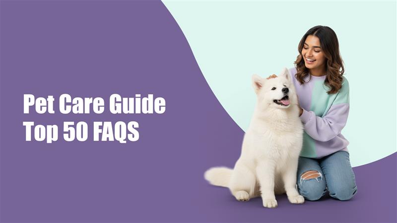 Top 50 Pet Care FAQs Every Pet Parent Searches