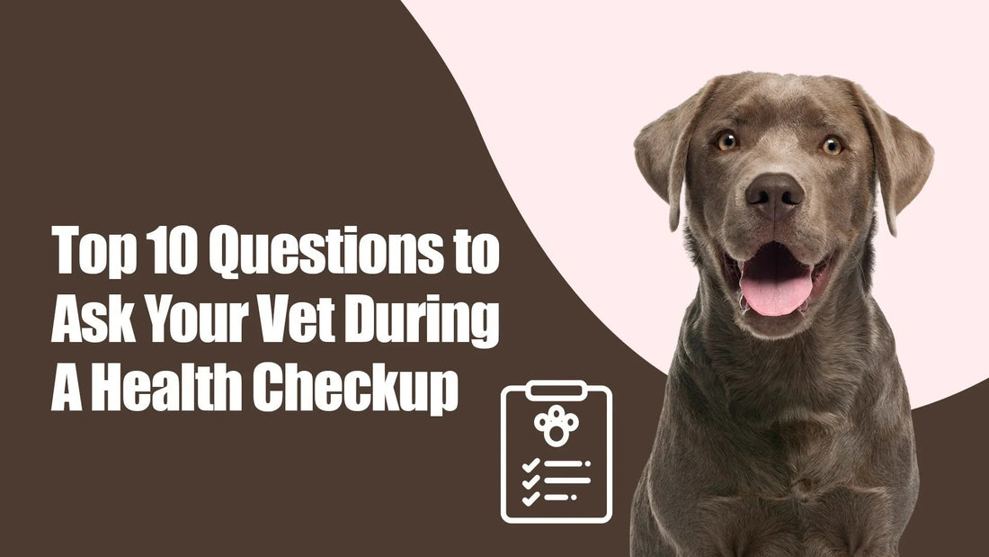 Smiling Labrador with health checkup checklist graphic and Zigly vet questions text