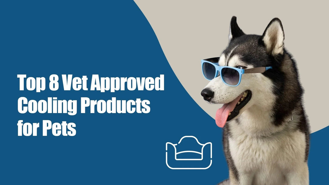 Husky dog with sunglasses next to text Top 8 Vet Approved Cooling Products for Pets, zigly