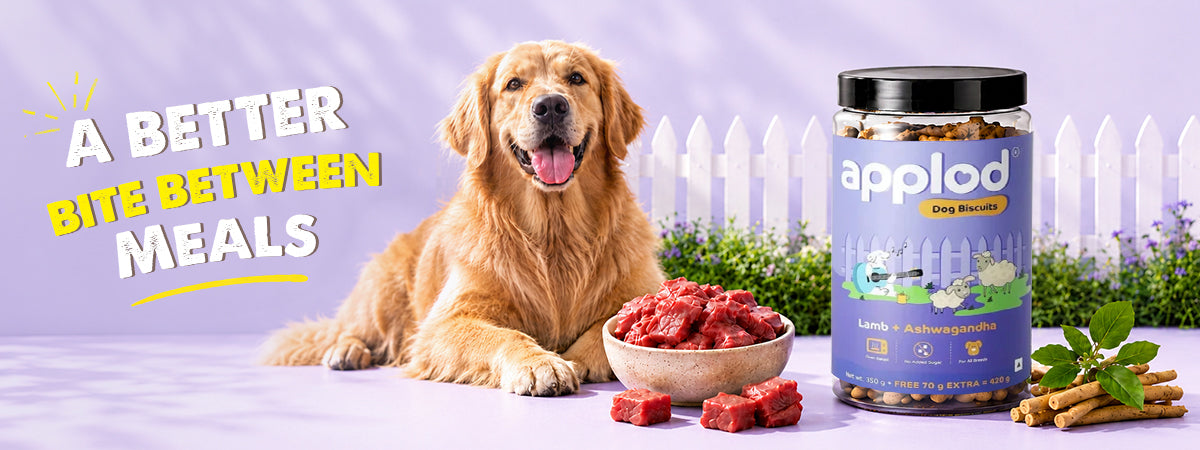 Applod Lamb & Ashwagandha Crunchy Dog Biscuits