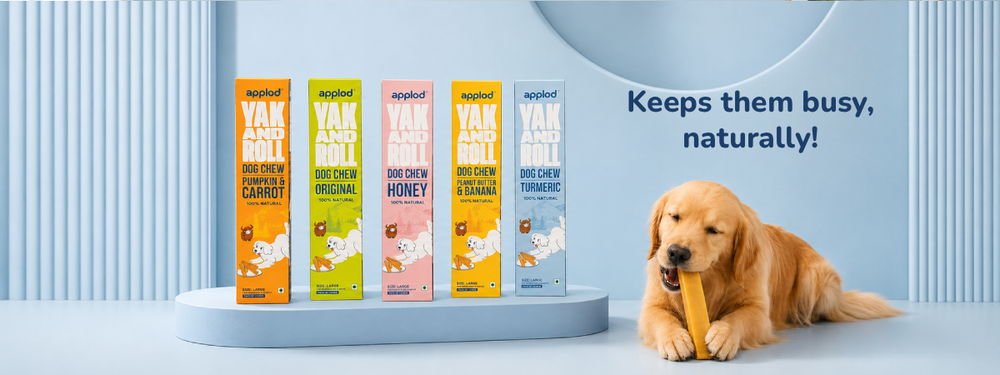 Applod Yak & Roll Combo of 5 Flavors Chew for Dogs