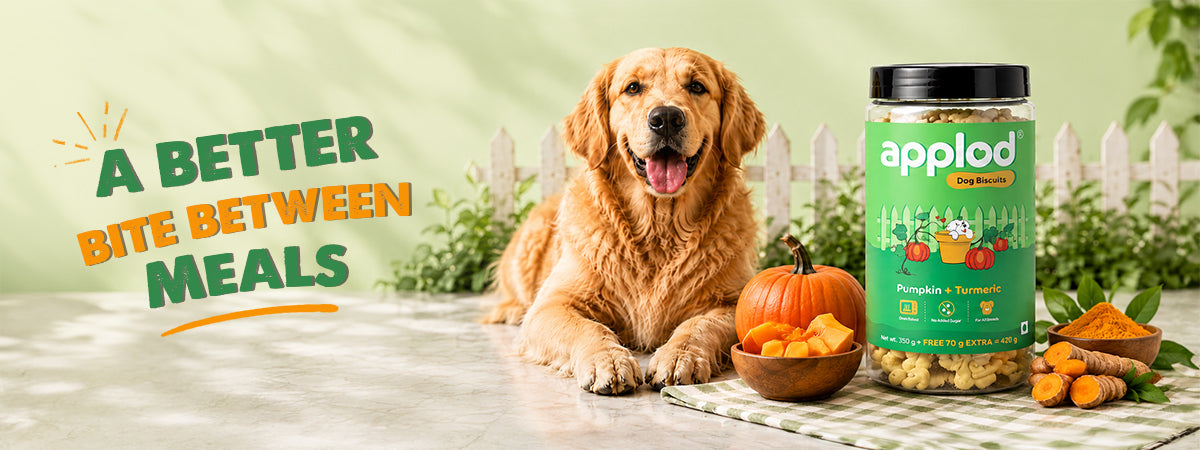 Applod Pumpkin Dog Biscuit with Turmeric