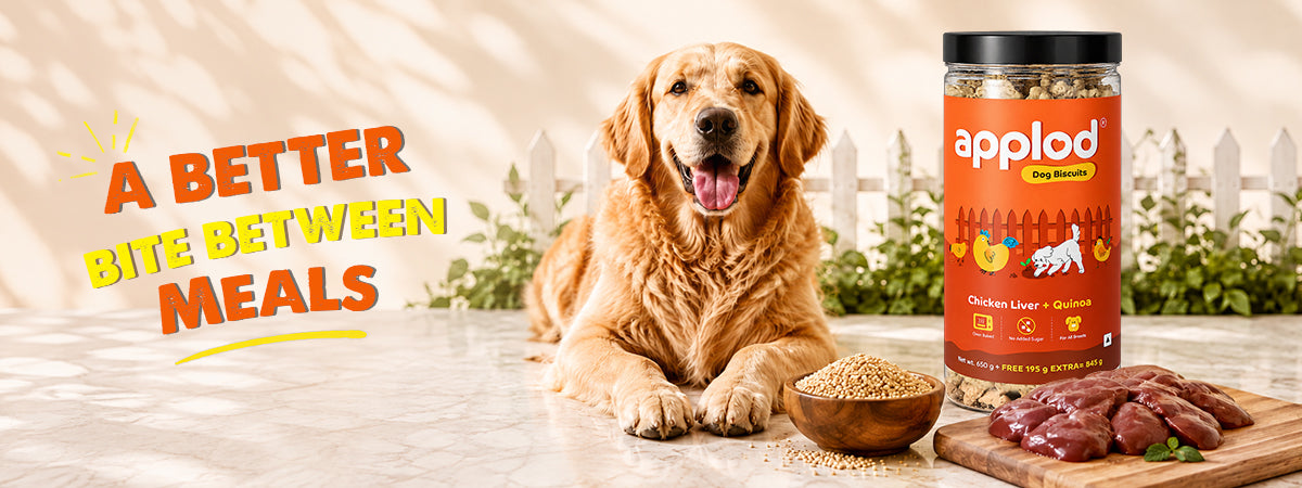 Applod Chicken Liver & Quinoa Dog Biscuits