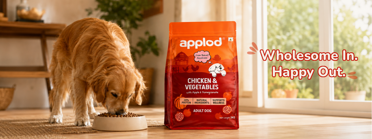 Applod Chicken & Vegetables with Apple & Pomegranate Dry Dog Food for Adult Dogs