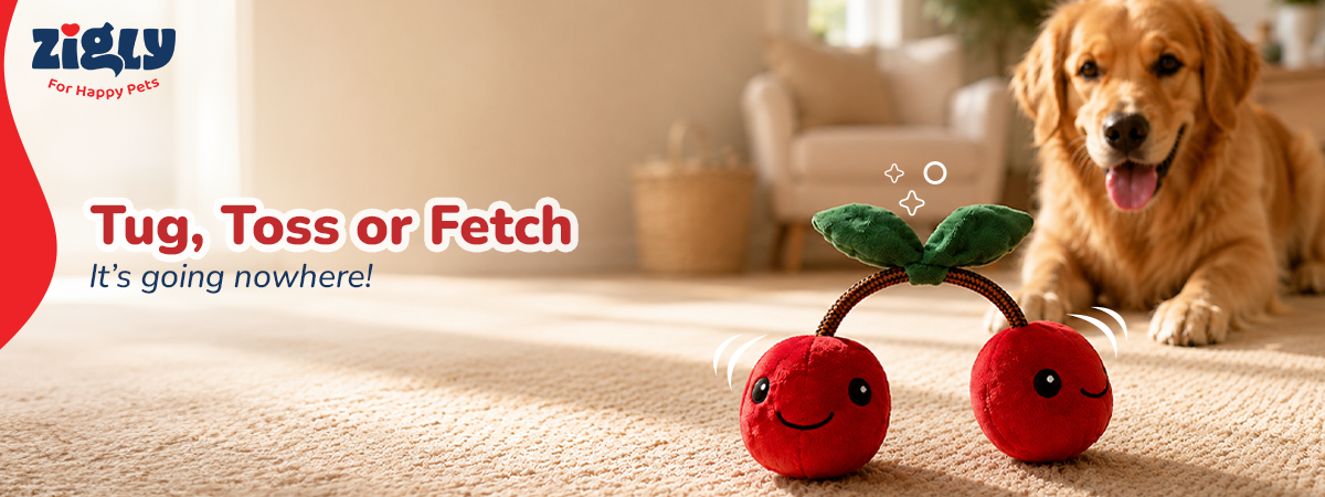 ZL Cherry Pop Rope Toy for Dogs